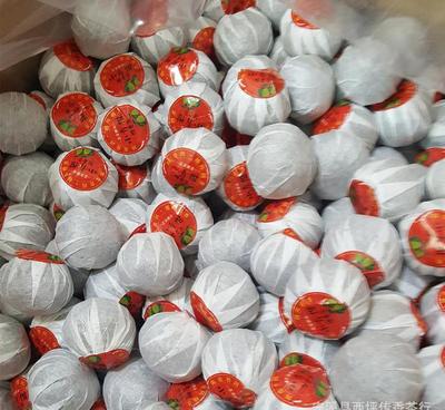 批發(fā)正宗廣東新會天馬小青柑宮廷普洱小青柑 新會柑普茶一顆一泡